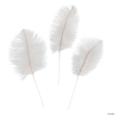 white ostrich feather plumes